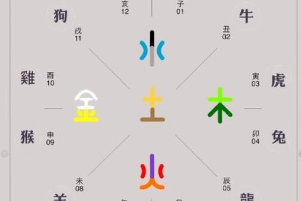 探索天干地支与肖的完美结合，改变你的命运