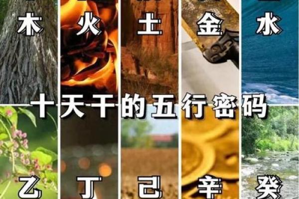 天干生日与命运的奇妙联系，你了解多少