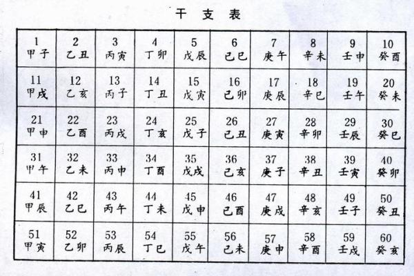 从零开始学习天干理数的计算
