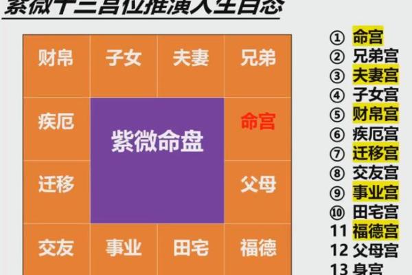 掌握紫微流年排盘，预测你的迁移命运走向！