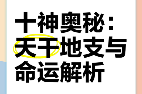 了解天干印无根，命运从此不再迷茫！