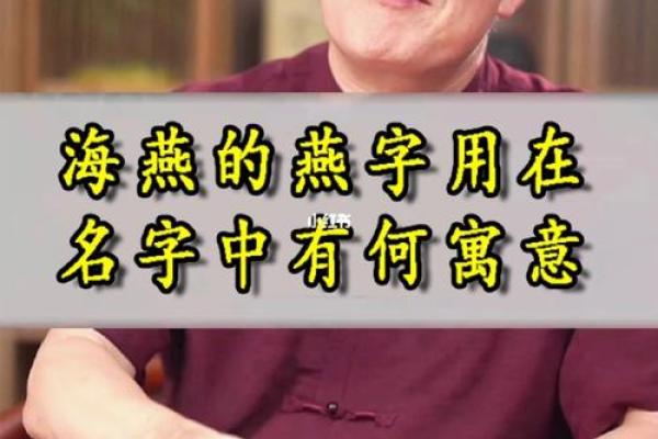 专家教你如何给连云港起个寓意深远的名字