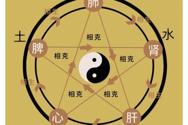 了解闻字五行的正确分类