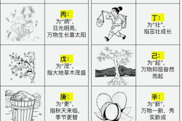 八字入门必读：天干地支对命运的深远影响