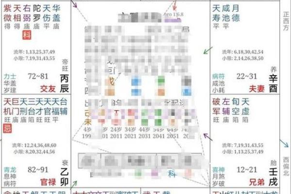 如何避免网站紫薇排盘错误，提升准确性技巧