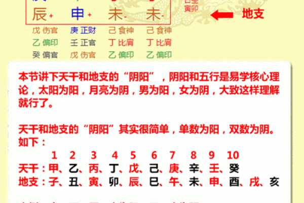 掌握八字反查排盘，轻松解读命运密码
