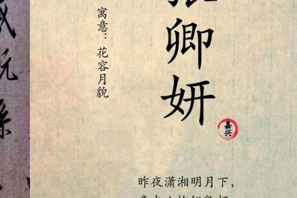 最受欢迎的张姓女孩名字推荐