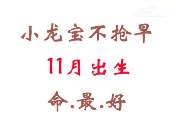 解密宝宝五行查询，助力命运从出生开始