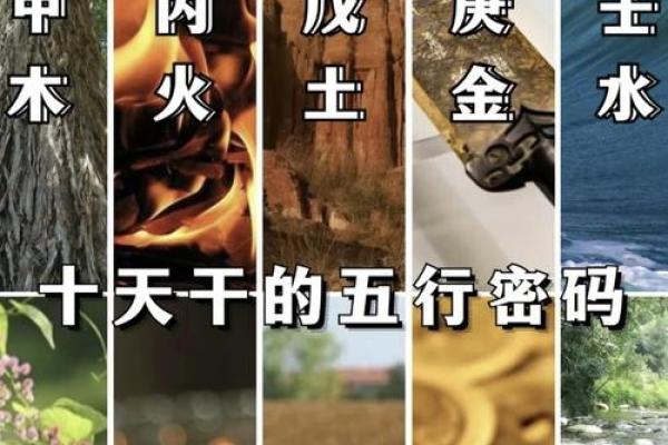 地支与天干的神秘关联，揭开古代智慧的面纱