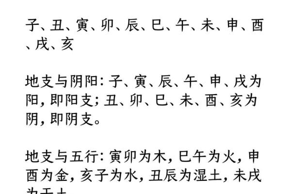 甲午天干地支的神秘含义，你不可不知的命理真相