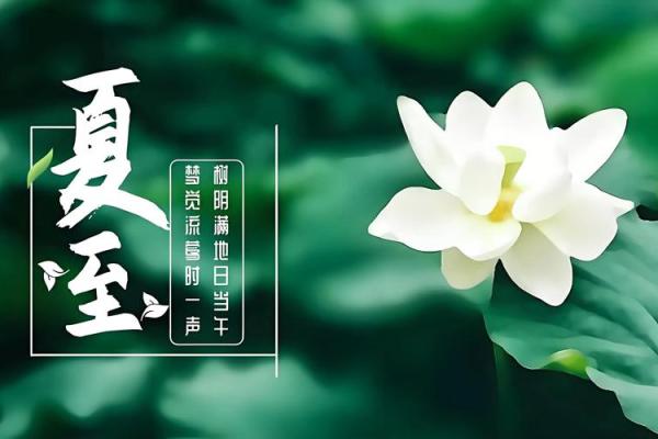 夏至天干解析：让你了解命运的转折点
