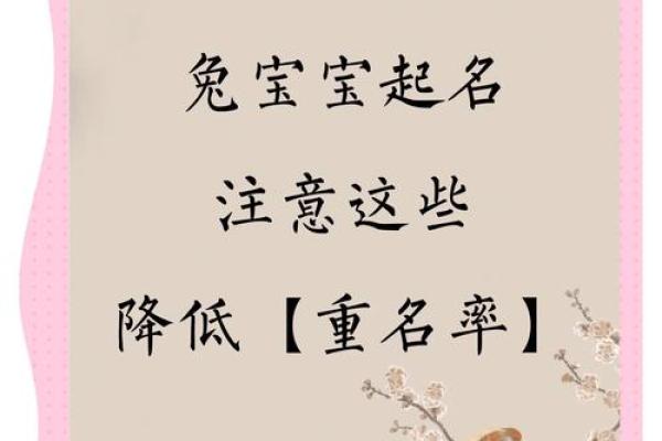 兔子起名字大全：这些名字让人忍不住想抱它