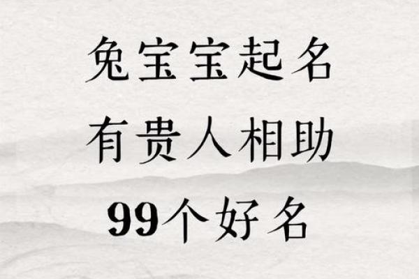 兔子起名字大全：这些名字让人忍不住想抱它