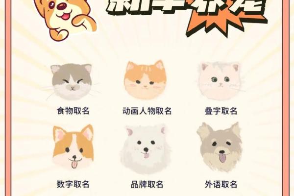 熟食公司起名秘籍：从零到品牌的转变