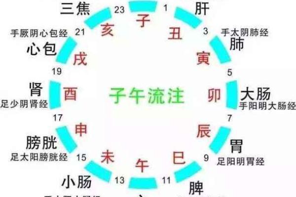古人如何通过天干地支划分十二时辰，揭开时间与命运的秘密