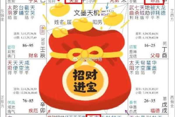透析亿万富豪的紫微特征：星盘背后的致富秘密