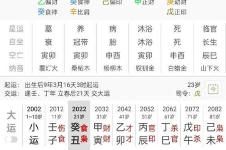 八字揭秘：揭秘败家命，这些生肖注定挥金如土