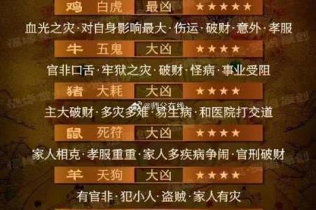丁巳日出生的人五行是什么？解开命理的奥秘