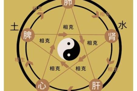 了解闻字五行的正确分类