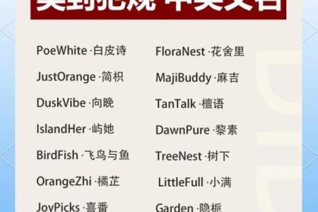 名赛公司店铺起名软件，快速找到最具吸引力的名字