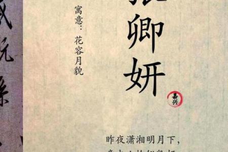 最受欢迎的张姓女孩名字推荐