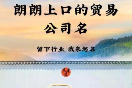 打破传统！这公司起名格局让你脱颖而出