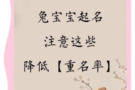兔子起名字大全：这些名字让人忍不住想抱它