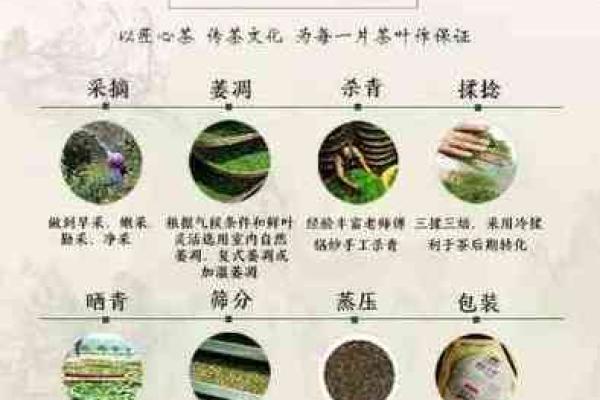 挑选茶叶公司名字的关键技巧