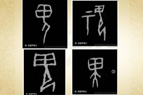尹字五行分析，命运中隐藏的秘密