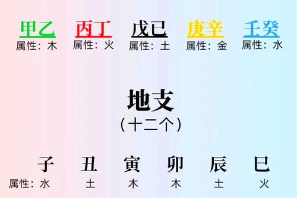 莎字五行探秘，了解它的真正含义