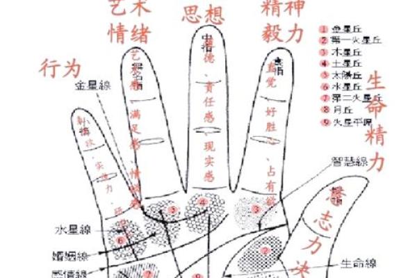 二次婚姻揭秘：手相中的命运转折点