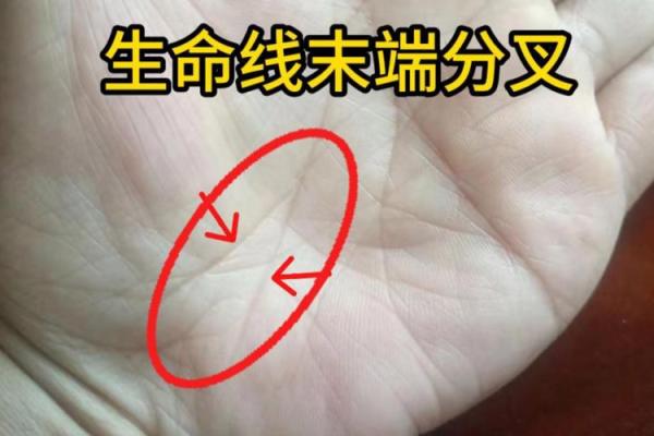 手相揭秘：一招叉形手势，揭示你的命运密码
