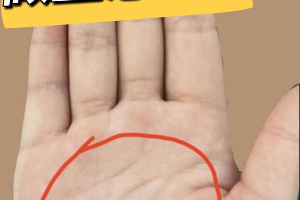 手相揭秘：你的才华藏在哪里？一招识破天赋潜能