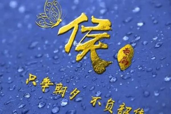 给侯姓男孩取个响亮又有寓意的名字