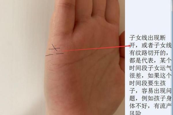 手相揭秘：看掌纹一眼知晓子女缘，快来测测你的宝宝运势