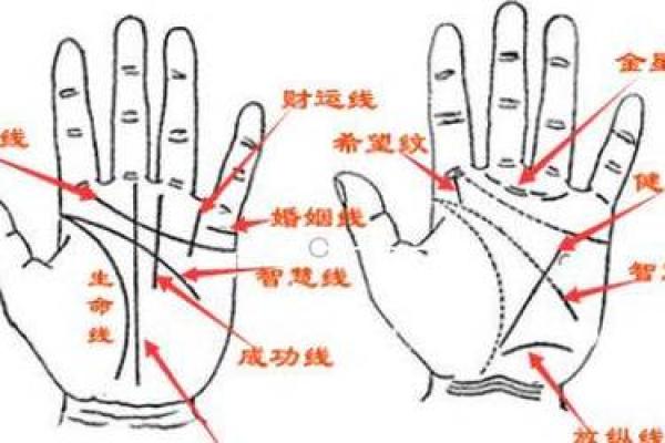 揭秘手相子女线：揭秘你的子女运势与未来