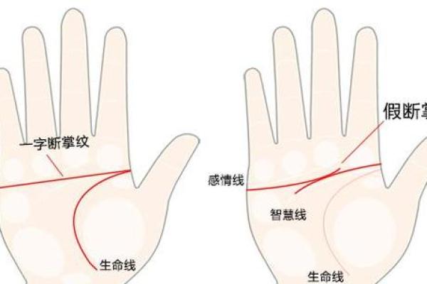 揭秘花心男手相特征：这些痕迹暴露了他的内心秘密