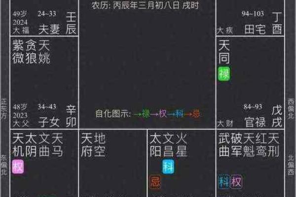 紫微排盘灵机：揭示你未来的财富与健康走向