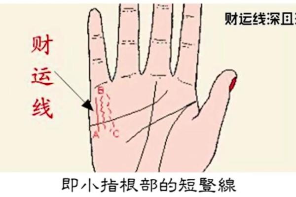 揭秘手相中的财富密码：金钱纹图解，助你财运亨通