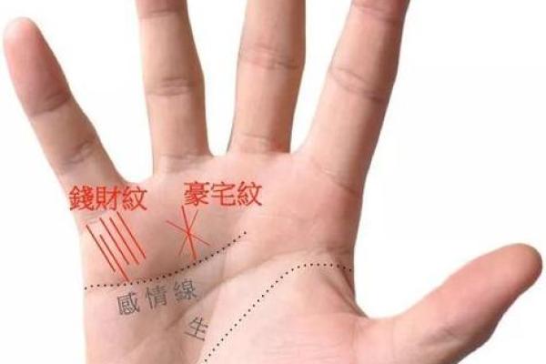 揭秘手相中的财富密码：金钱纹图解，助你财运亨通
