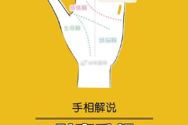 揭秘：手相手腕线向上延伸的惊人秘密，助你财运亨通