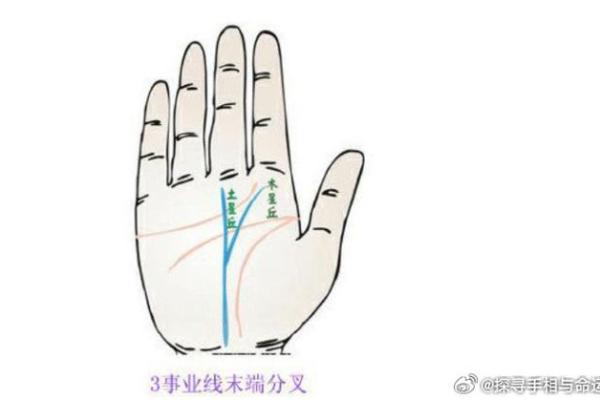 揭秘：手相手腕线向上延伸的惊人秘密，助你财运亨通