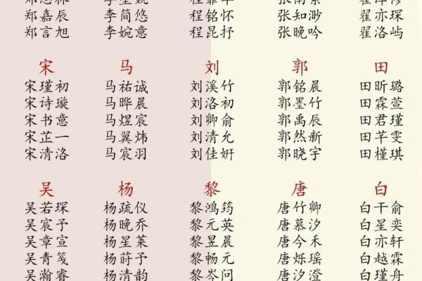 用家字起名，寓意深远的选择
