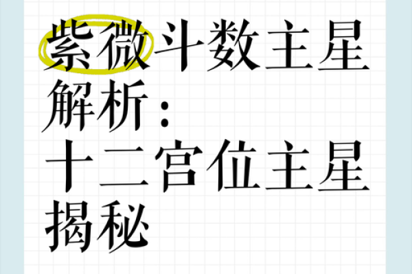 紫薇流年排盘解析：命运走向大揭秘