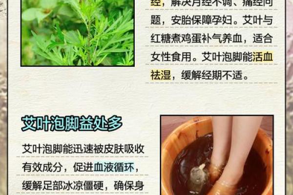 艾字五行解析，了解名字对命运的深远影响