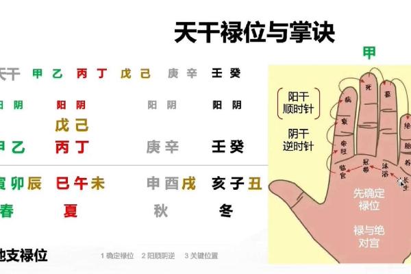 十天干掌诀图：揭秘古代智慧，掌握人生运势