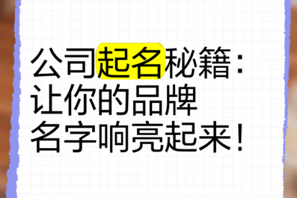 造价起名公司教你如何选择适合的品牌名字