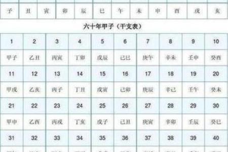 揭秘五行与天干地支的密码，助你找到人生最佳方向