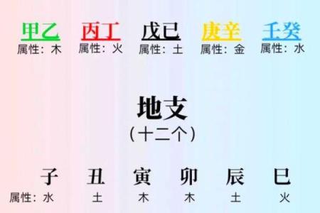 莎字五行探秘，了解它的真正含义
