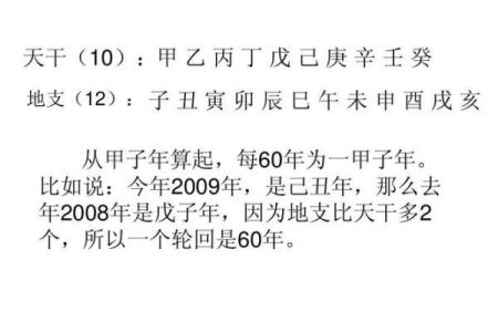 天干箅法入门指南，掌握这些技巧就够了